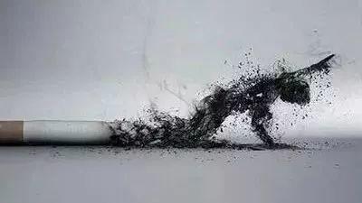 没有它,肺癌将成为罕见病! 没有它,肺癌将成为罕见病!