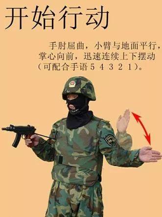 军事手语动作图片
